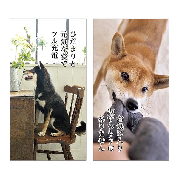 犬川柳卓上カレンダー 月めくり ２０２２ カレンダー ペット用品の通販サイト ペピイ Peppy