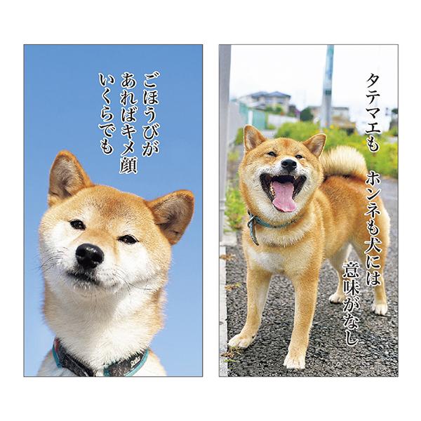 犬川柳卓上カレンダー 月めくり ２０２２ カレンダー ペット用品の通販サイト ペピイ Peppy