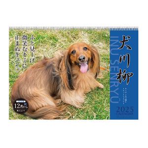 犬川柳カレンダー（月めくり）２０２５ コーギー