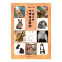 エキゾチック｜動物医療関係者の通販サイト ペピイベット（PEPPYvet