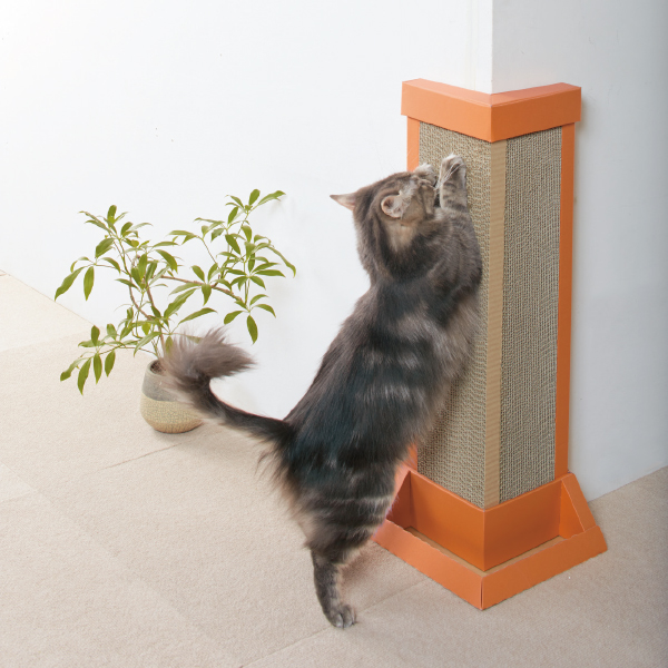 猫 爪 とぎ 柱 補修 猫 爪 とぎ 柱 補修