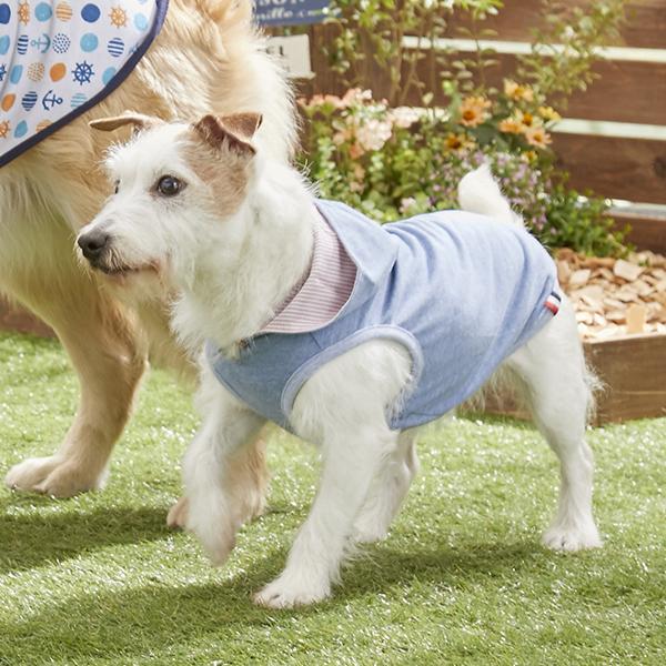 ｓｉｐｐｏｌｅ ストレッチパーカー 19 ウェア 犬服 ペット用品の通販サイト ペピイ Peppy