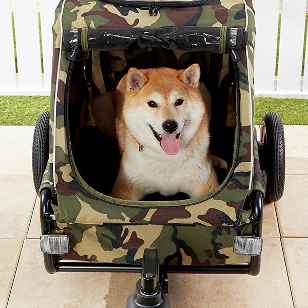 柴犬が伏せても広々