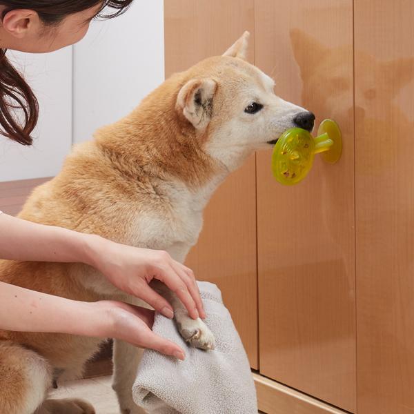 パプシクル 犬用おもちゃ ペット用品の通販サイト ペピイ Peppy