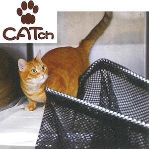 ネコ用保護網 CATch（キャッチ）｜診察・処置｜動物医療関係者の通販