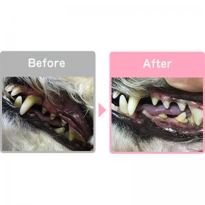 スカローデンタルジェルで1日2回ブラッシングして45日