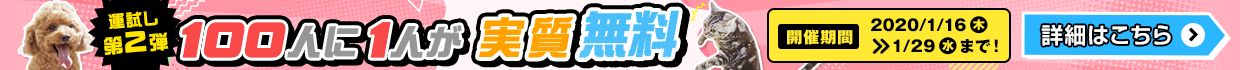 100人に1人が無料！？全額キャッシュバックキャンペーン！