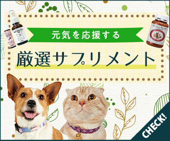 サプリメント特集 愛犬 愛猫にオススメしたいサプリメントをご紹介 ペット用品の通販サイト ペピイ Peppy