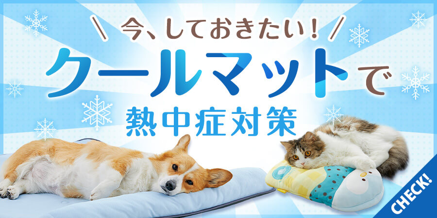愛犬 愛猫用おすすめクールマット特集 ペット用品の通販サイト ペピイ Peppy