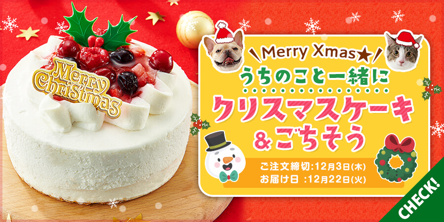 クリスマスケーキ特集 愛犬 愛猫に素敵なクリスマスプレゼント ペット用品の通販サイト ペピイ Peppy