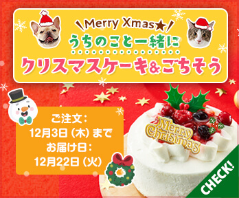 クリスマスケーキ特集 愛犬 愛猫に素敵なクリスマスプレゼント ペット用品の通販サイト ペピイ Peppy