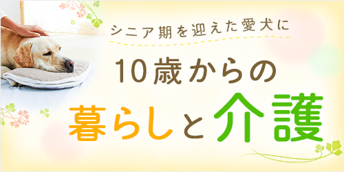 10歳からの暮らしと介護