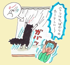 パウなやつら11月-3