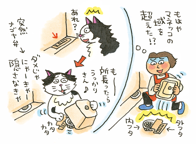 カンザワファミリーの犬猫おきらく研究所