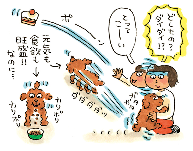 カンザワファミリーの犬猫おきらく研究所