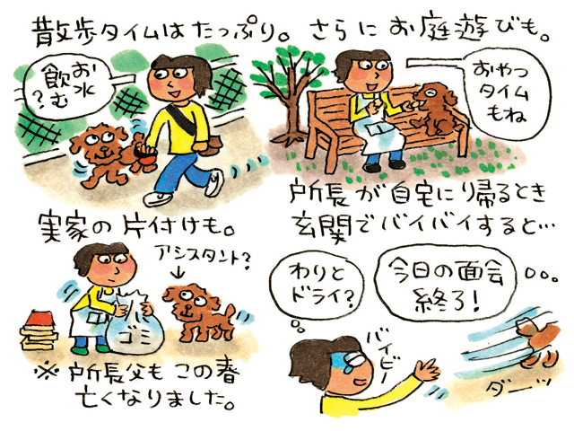 カンザワファミリーの犬猫おきらく研究所