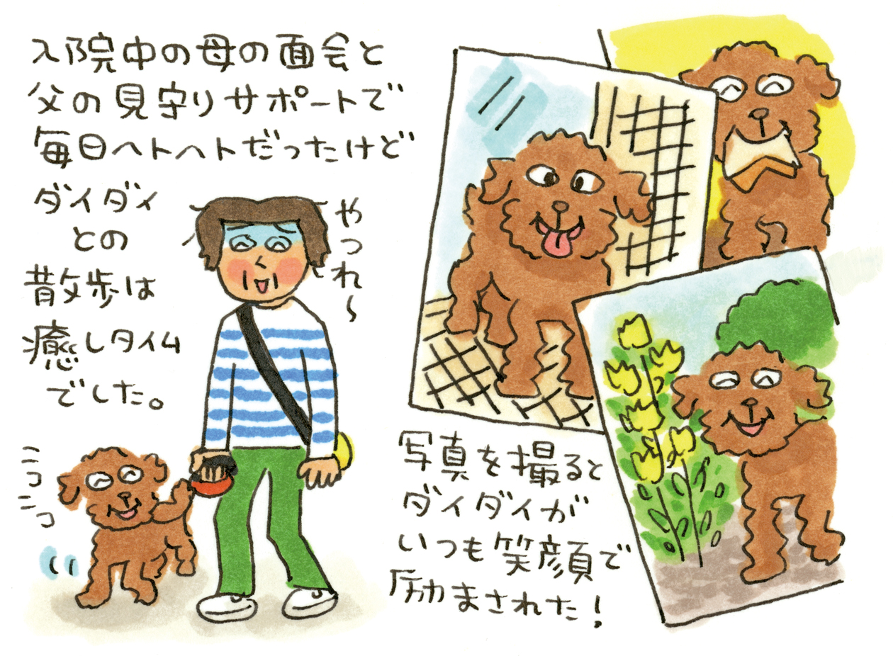 カンザワファミリーの犬猫おきらく研究所