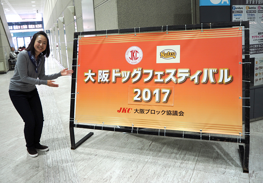 ありとあらゆる犬種のわんちゃんが一同に集って審査が行われるドッグイベント