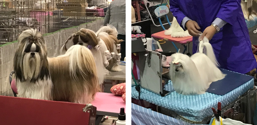 サラサラヘアー