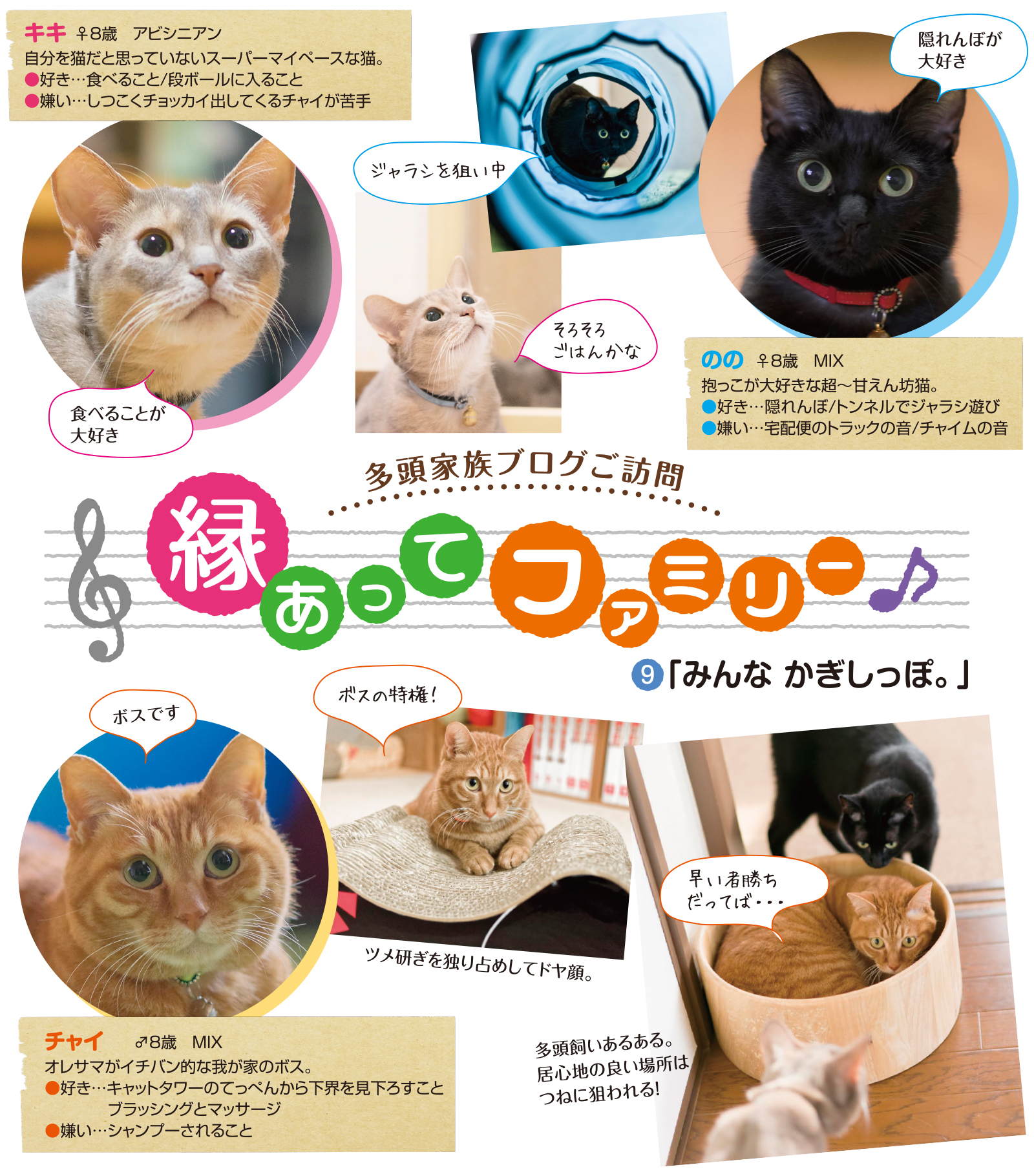 みんな かぎしっぽ ペット用品の通販サイト ペピイ Peppy