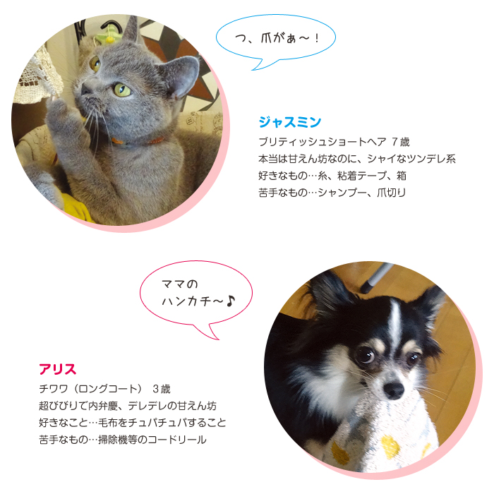 家族紹介