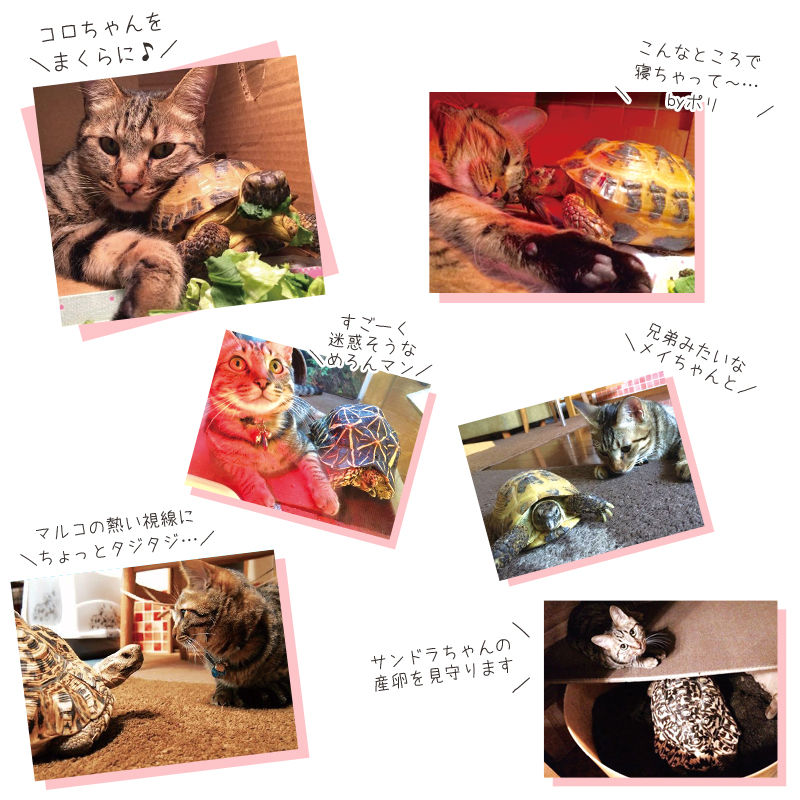 家族紹介2