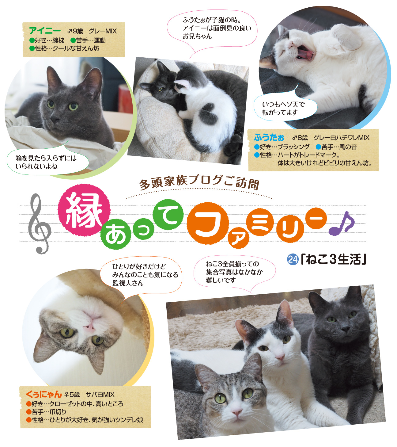 縁あってファミリー ねこ3生活 ペット用品の通販サイト ペピイ Peppy