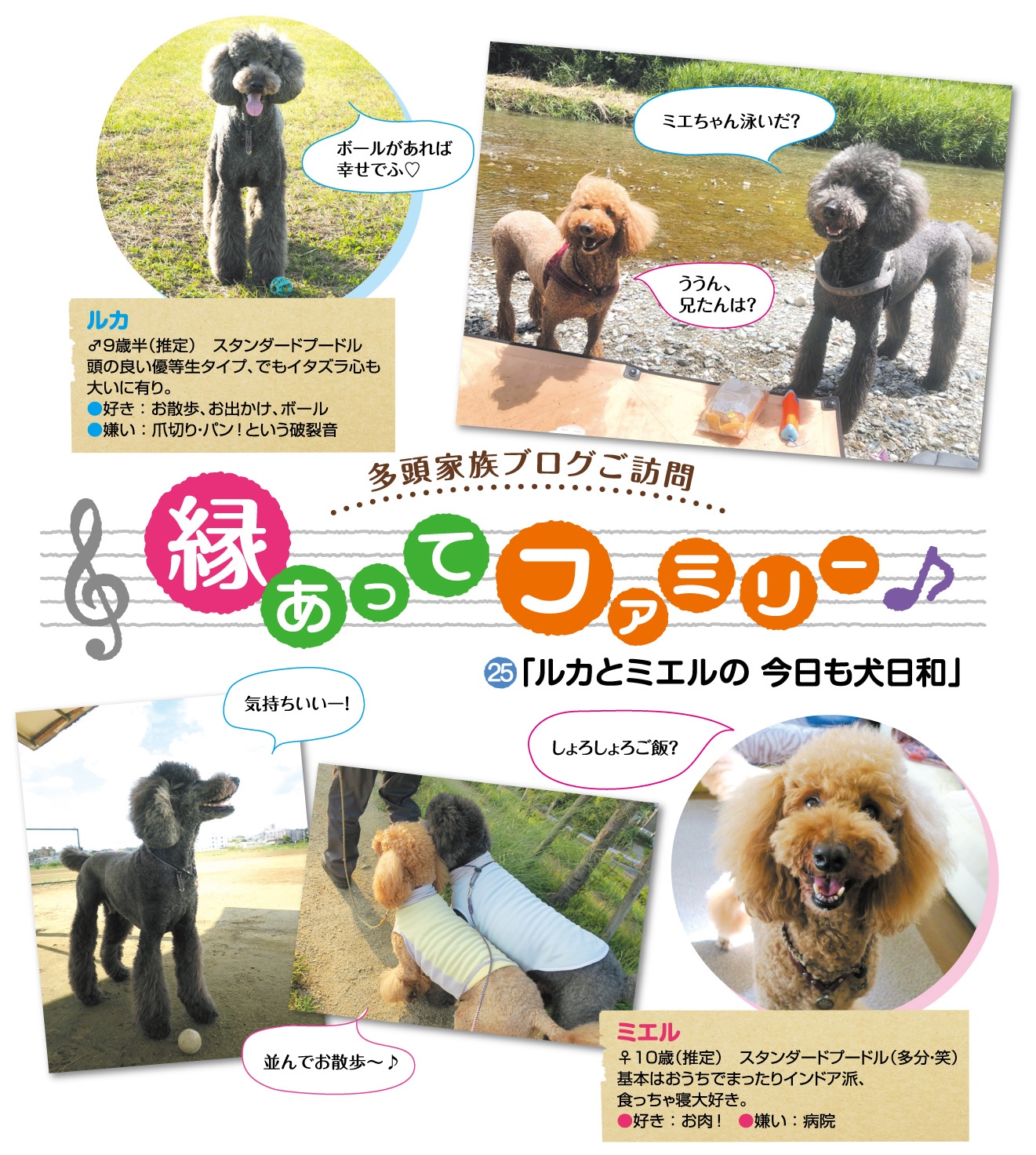 ルカとミエルの 今日も犬日和 ペット用品の通販サイト ペピイ Peppy