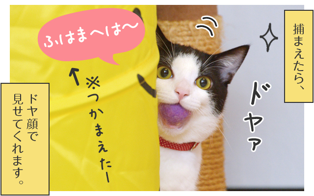 4コマ目