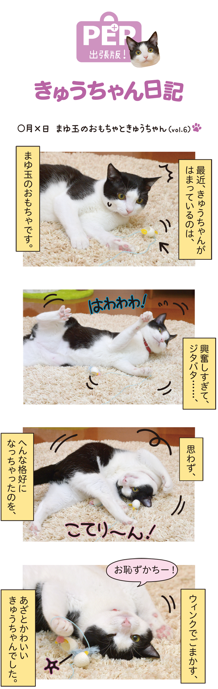 きゅうちゃん日記