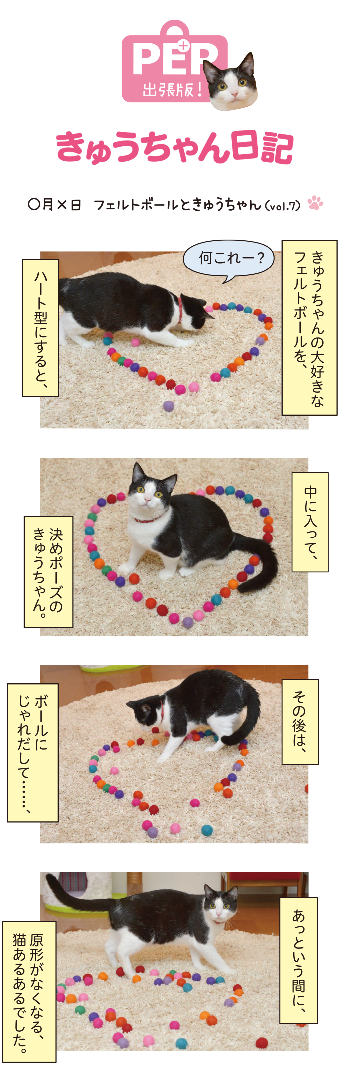 きゅうちゃん日記