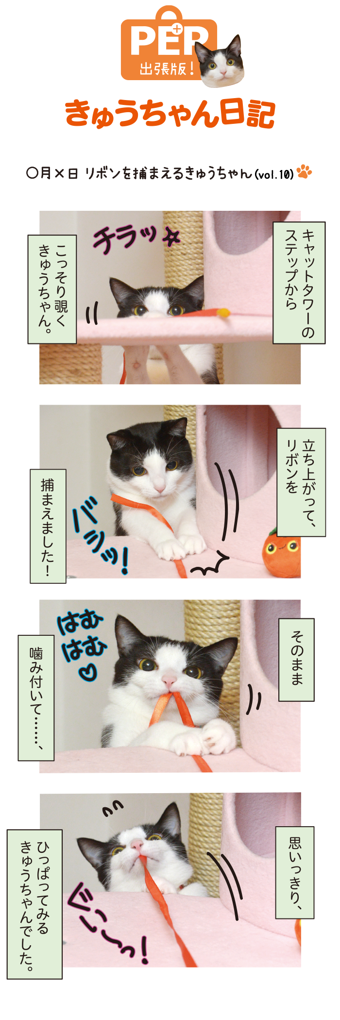 きゅうちゃん日記
