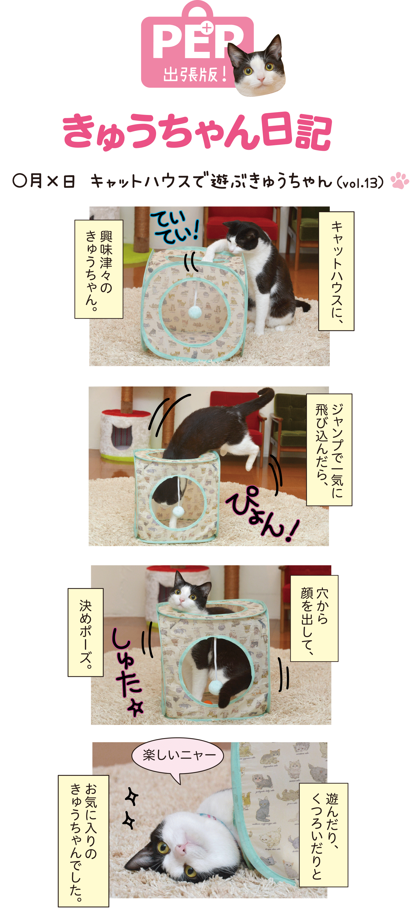 きゅうちゃん日記