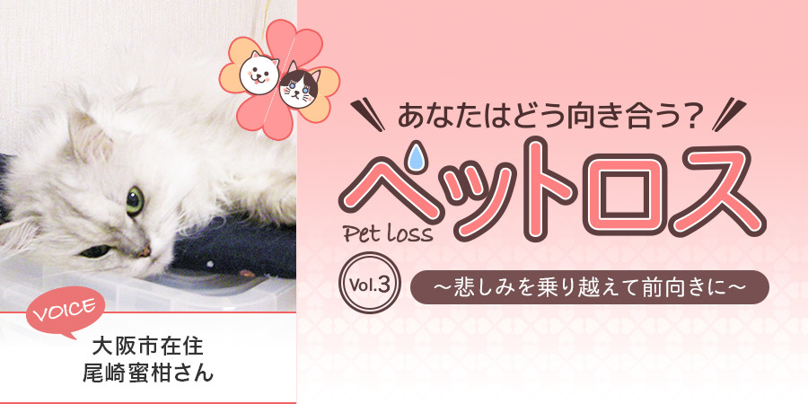 あなたはどう向き合う?ペットロスコラム