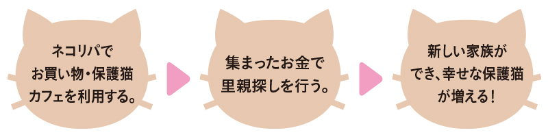 自走型保護猫カフェ