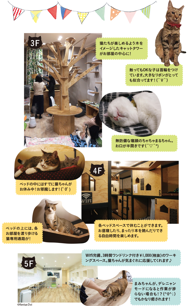 リパブリックの中