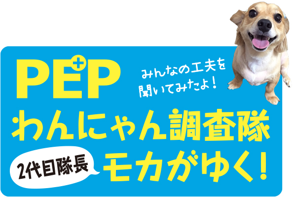 わんにゃん調査隊