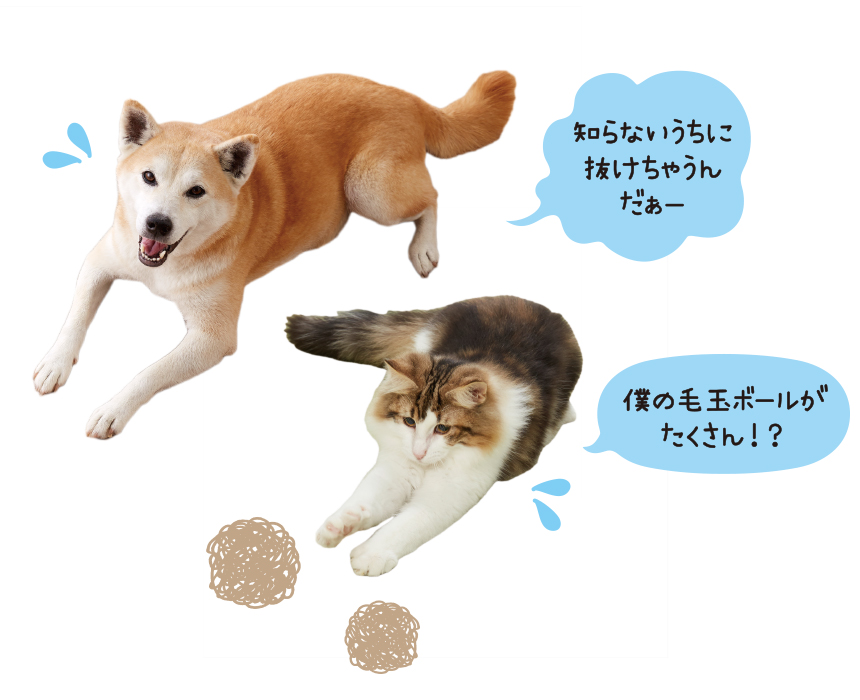抜け毛の掃除が大変