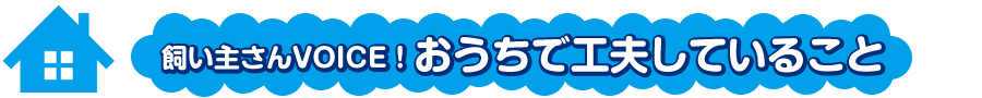 おうちで工夫していること