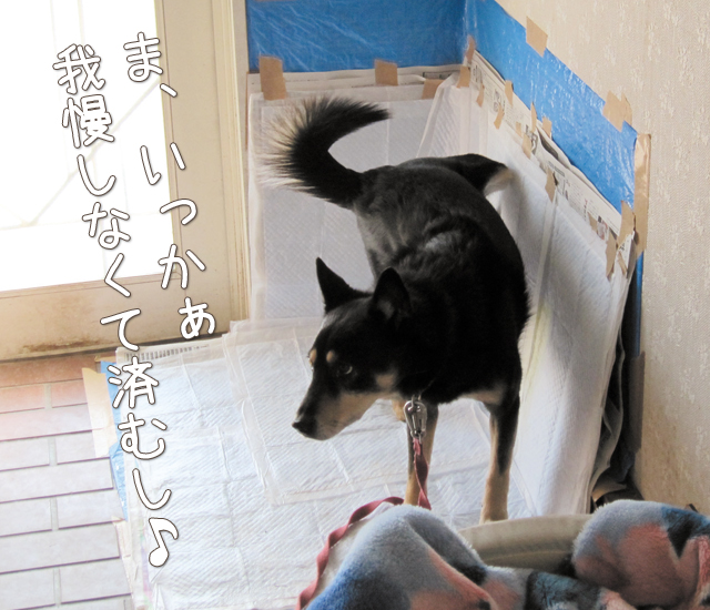 おしっこ成功