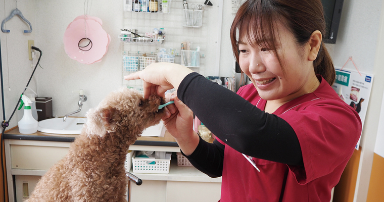 みゅう動物病院副院長栗崎先生
