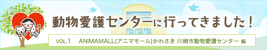 動物愛護センターに行ってきました!