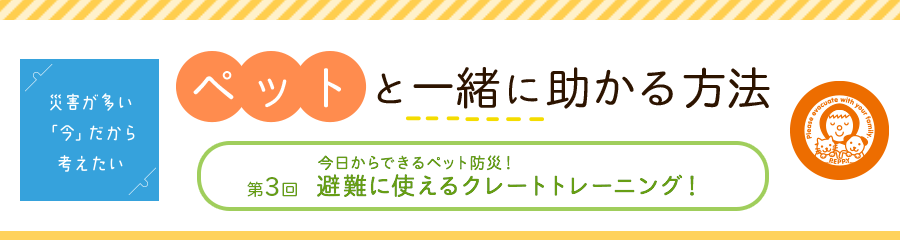 今日からできるペット防災!避難に使えるクレートトレーニング!