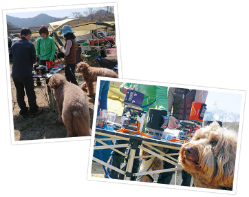 第5回 愛犬の笑顔がはじけるデイキャンプのススメ ペット用品の通販サイト ペピイ Peppy