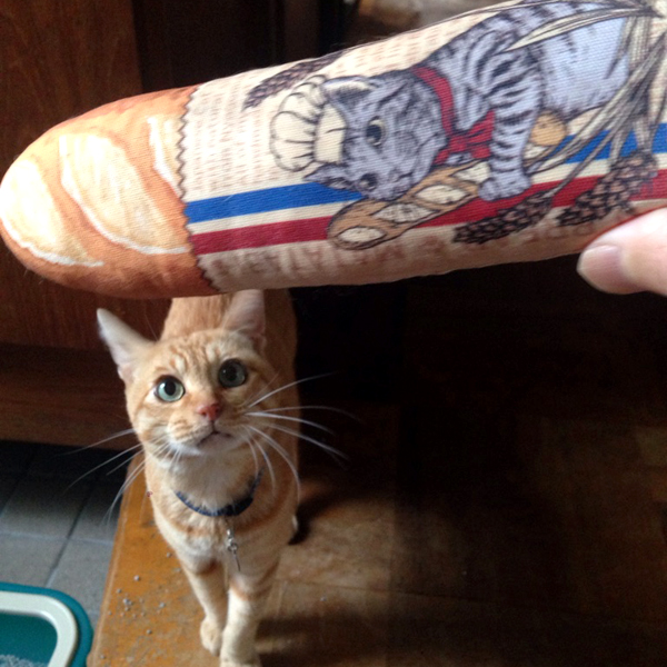 にゃごみ処 またたび入り猫キッカー 猫用おもちゃ ペット用品の通販サイト ペピイ Peppy