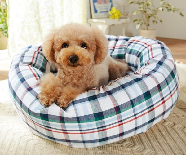 さわやかマリンベーグルベッド 犬用ベッド ペットベッド クッション ペット用品の通販サイト ペピイ Peppy