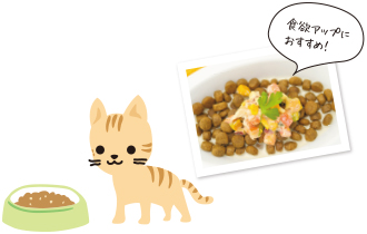 フードの温めは食欲アップにおすすめ