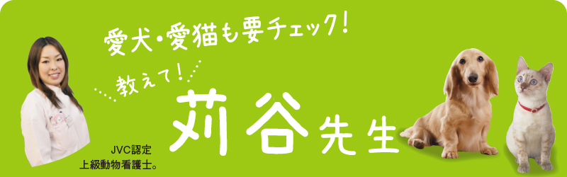愛犬・愛猫も要チェック!\教えて/苅谷先生