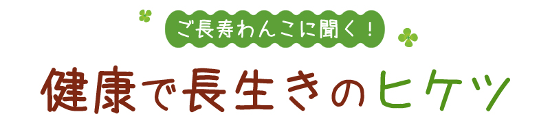 ご長寿わんこにきく!健康で長生きの秘訣