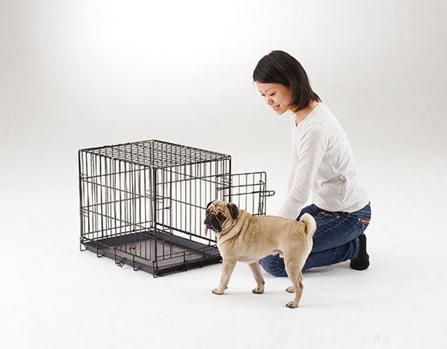 愛犬をケージに慣れさせる方法